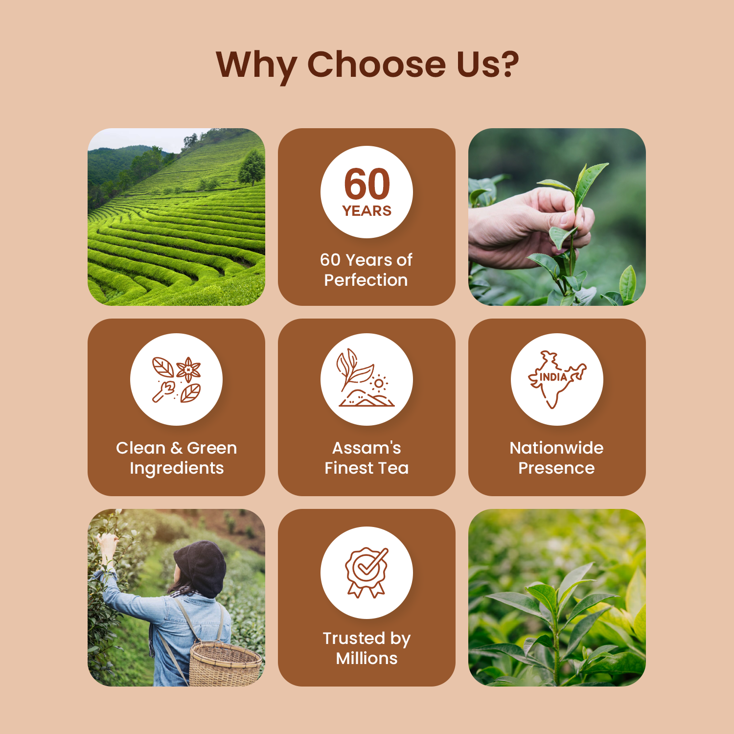 Kahwa Tea + Masala Instant Premix Tea (Buy 2 Get 2)