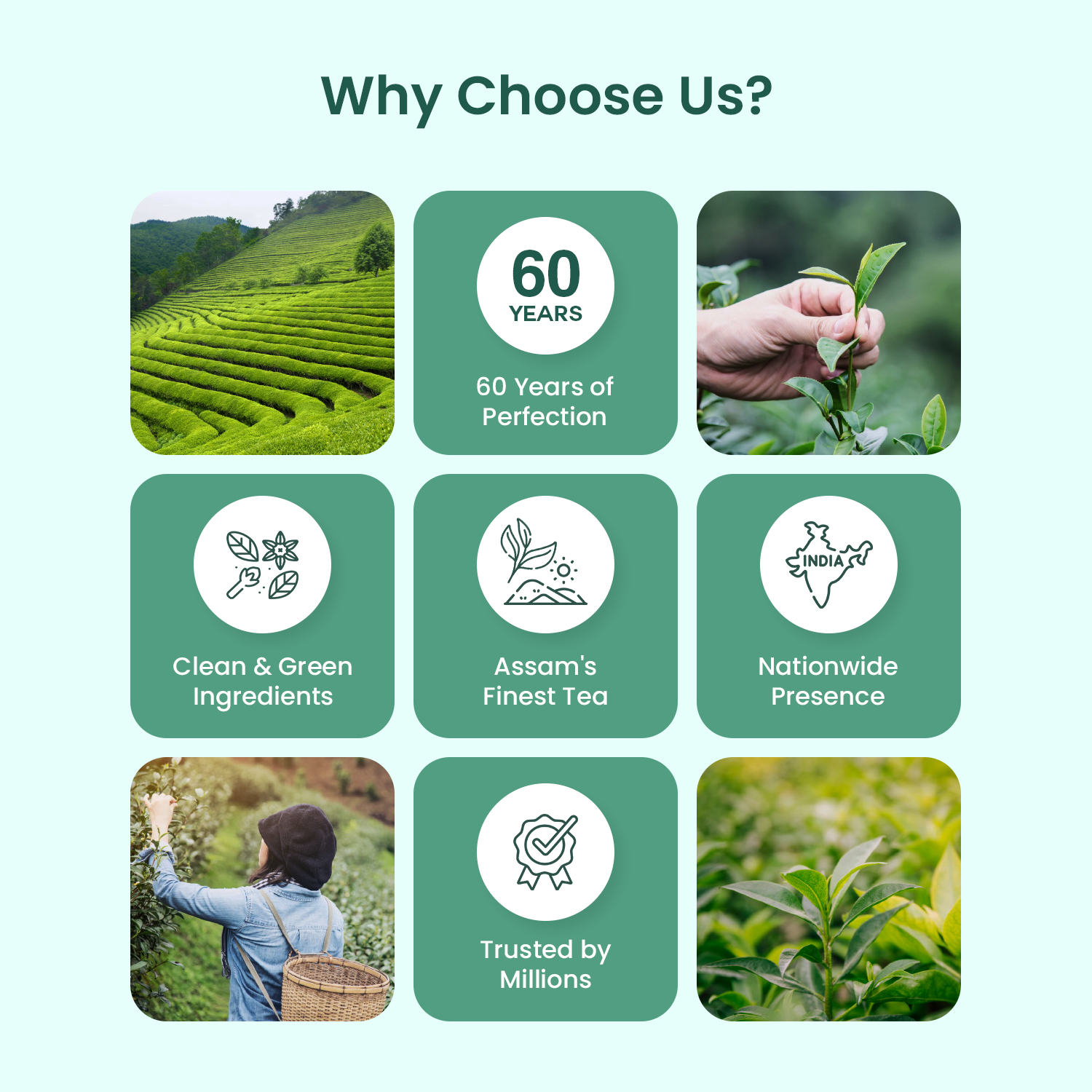 APSARA Detoxifying Kahwa Green Tea Buy 1 Get 1 (Free)
